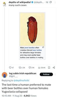 WIKIPEDIA • depths of wikipedia! @depth... 1d many such cases Male jewel beetles often mistake littered beer bottles for attractive large females and may even prefer beer bottles over beetles in mating. 47 11.3K ❤21K Ilil 384K ☐ % log cabin Irish republican @gyir___ Replying to @depthsofwiki Follow The last time a human preferred to mate with beer bottles over human females Yugoslavia collapsed 10:15 AM - 11 Aug 25 4,942 Views