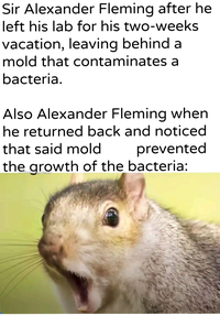 Sir Alexander Fleming after he left his lab for his two-weeks vacation, leaving behind a mold that contaminates a bacteria. Also Alexander Fleming when he returned back and noticed that said mold prevented the growth of the bacteria: