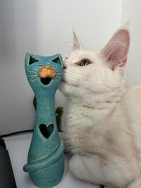 A kiss