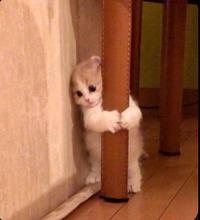 Hiding out of sight