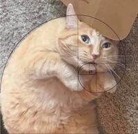 The golden spiral