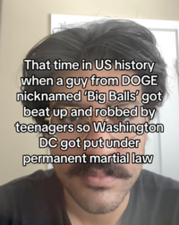 That time in US history when a guy from DOGE nicknamed 'Big Balls' got beat up and robbed by teenagers so Washington DC got put under permanent martial law
