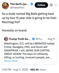 The Serfs (yo... @theserfstv Follow ... So a dude named Big Balls getting beat up by two 15 year olds is going to be their Reichtag fire? Honestly on brand Trump Truth So... @Tru... Aug 11 Washington, D.C. will be LIBERATED today! Crime, Savagery, Filth, and Scum will DISAPPEAR. I will, MAKE OUR CAPITAL GREAT AGAIN! The days of ruthlessly killing, or hurting, innocent people, are... Show more 1:08 PM Aug 11, 2025 489.4K Views •