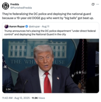 They're federalizing the DC police and deploying the national guard because a 19-year old DOGE guy who went by "big balls" got beat up.