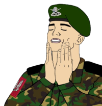 Feels Good Indian Soldier