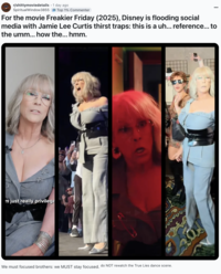 A "Reddit":https://knowyourmeme.com/memes/sites/reddit post about Jamie Lee Curtis's large chest in the August 2025 _Freakier Friday_ ad shared by the "Disney":https://knowyourmeme.com/memes/subcultures/disney "TikTok":https://knowyourmeme.com/memes/sites/tiktok account.