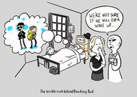 A piece of art depicting "the terrible truth behind Breaking Bad." The comic suggests the show takes place in Walter White's coma.