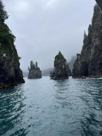 Kenai Fjords and Denali