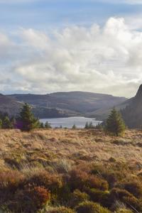 Wicklow Mountains National Park