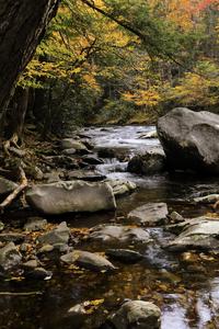 Great Smoky Mountains National Park