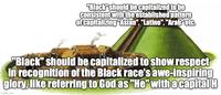 "Black" should be capitalized to be consistent with the established pattern of capitalizing "Asian", "Latino", "Arab etc. "Black" should be capitalized to show respect in recognition of the Black race's awe-inspiring glory, like referring to God as "He" with a capital H imgflip.com
