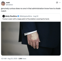 A "quote-tweet":https://knowyourmeme.com/memes/quote-retweets-qrts joking about "Donald Trump":https://knowyourmeme.com/memes/people/donald-trump and the makeup/bruising on his hand, which caused speculation about his impending death.