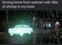 Driving home from walmart with 5lbs of shrimp in my trunk