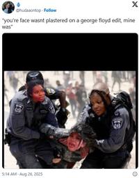 A meme editing Huda's face onto that of a Palestinian woman being carted away by IDF soldiers. Chelley and Olandria are portrayed as the IDF soldiers.
