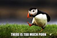 THERE IS TOO MUCH P---