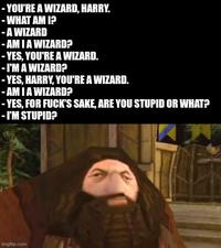 - YOU'RE A WIZARD, HARRY. -WHAT AM I? - A WIZARD -AMIA WIZARD? - YES, YOU'RE A WIZARD. -I'M A WIZARD? -YES, HARRY, YOU'RE A WIZARD. -AMIA WIZARD? - YES, FOR F---'S SAKE, ARE YOU STUPID OR WHAT? - I'M STUPID? imgflip.com