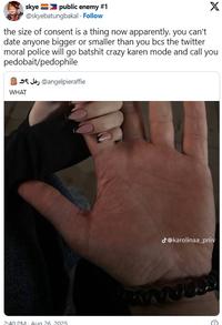 A tweet reading, "the size of consent is a thing now apparently. you can't date anyone bigger or smaller than you bcs the twitter moral police will go batshit crazy karen mode and call you pedobait/p--------."