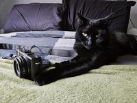 A photographer 