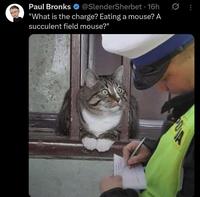 Paul Bronks @SlenderSherbet - 16h "What is the charge? Eating a mouse? A succulent field mouse?"