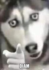 DIAM imgflip.com