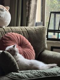Reclining 