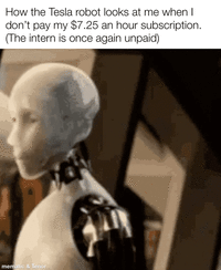 How the Tesla robot looks at me when I don't pay my $7.25 an hour subscription. (The intern is once again unpaid) mematic & Tenor