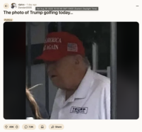 Redditor /u/Dandan0005 posted an image with the caption, " The photo of Trump golfing today…," gathering over 49,000 upvotes in a day. 