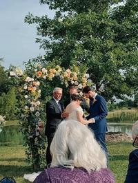 A hairy wedding dress