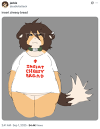 A "tweet":https://knowyourmeme.com/memes/sites/twitter-x referencing the Insert Cheesy Bread shirt and "meme":https://knowyourmeme.com/memes/memes.