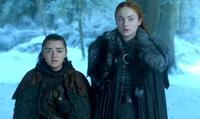 I guess it’s safe to say Sansa and Arya are prime examples of “strong female leads” done wrong? | /r...