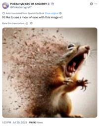 PinkBerryM CEO OF ANGERRY @Pinkuberryyyy77 Auto-translated from Spanish by Grok Show original ✩ I'd like to see a moai of moe with this image xd Rate this translation: B 1:33 PM Jul 29, 2025 116.1K Views • ..