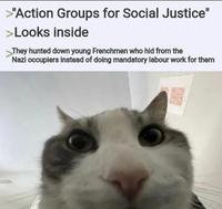 >"Action Groups for Social Justice" >Looks inside They hunted down young Frenchmen who hid from the Nazi occupiers instead of doing mandatory labour work for them