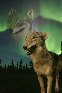 Inside You There Are Two Wolves (template)