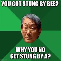 YOU GOT STUNG BY BEE? imgflip.com WHY YOU NO GET STUNG BY A?