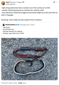 A "quote-tweet":https://knowyourmeme.com/memes/quote-retweets-qrts of the September 2025 "tweet":https://knowyourmeme.com/memes/sites/twitter-x from user @PNWGUERRILLA about him allegedly shooting and killing a rooster with a 12-gauge shotgun because the animal attacked his nephew.