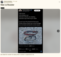 "Bro killed his rooster for doing what a rooster is supposed to do." A "Reddit":https://knowyourmeme.com/memes/sites/reddit post on the /r/iamverybadass subreddit about the September 2025 "tweet":https://knowyourmeme.com/memes/sites/twitter-x from user @PNWGUERRILLA about him allegedly shooting and killing a rooster with a 12-gauge shotgun because the animal attacked his nephew.