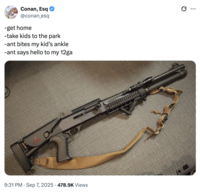 Conan, Esq @conan_esq -get home -take kids to the park -ant bites my kid's ankle -ant says hello to my 12ga 9:31 PM Sep 7, 2025 478.9K Views :