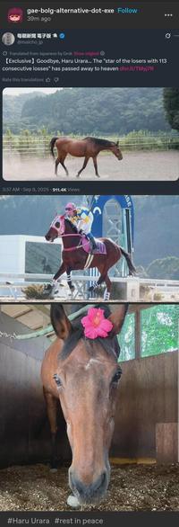 gae-bolg-alternative-dot-exe Follow 39m ago 每朝新聞 電子版 像@ @maicho_jp Translated from Japanese by Grok Show original [Exclusive] Goodbye, Haru Urara... The "star of the losers with 113 consecutive losses" has passed away to heaven dlvr.it/TMyj7R Rate this translation: 3:37 AM Sep 9, 2025 911.4K Views SE #Haru Urara #rest in peace