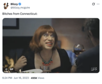 X user @blizzy_mcguire tweeted, "Bitches from Connecticut," alongside a GIF of Fred Armisen dressed in a red wig as "Nina" from this show _Portlandia_.