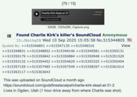 The original "4chan":https://knowyourmeme.com/memes/sites/4chan post on the "/pol/":https://knowyourmeme.com/sensitive/memes/sites/pol imageboard that shared the "theory":https://knowyourmeme.com/memes/cultures/conspiracy-theories that "Charlie Kirk's":https://knowyourmeme.com/memes/people/charlie-kirk assassin was named Skye Valadez, due to a "SoundCloud":https://knowyourmeme.com/memes/sites/soundcloud song called "Charlie Kirk Dead at 31" shared by the band God's Finest Scalpel.