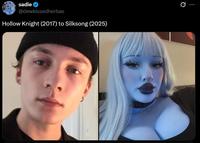 sadie @dewkissedherbas Hollow Knight (2017) to Silksong (2025)