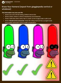 Goofygoobab 1/25/2024 in Off-Topic Know Your Homers! (repost from glagglepedia central or whatever) This information may save your life. ⚫ Gomer: Sour and a bit tart tasting. Similar to lemon lime. ⚫ Bomer: Sweet, similar to a blend of blackberries and blueberries. ⚫ Pomer: Tastes like cotton candy. Skin is unsafe, but the sludge inside is safe to eat. Romer: Should not be consumed. Tastes like rotting meat and has a pungent smell. Consumption will result in various health complications.