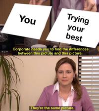Trying You your best Corporate needs you to find the differences between this picture and this picture. They're the same picture. r/WholesomeMemes