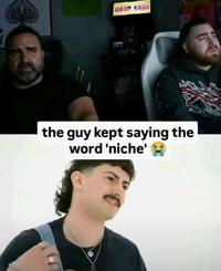 the guy kept saying the word 'niche'