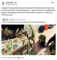 X user @Logo_Daedalus tweeted, "Instead of having kids they plan activities for themselves that would be more fun with kids. "Kiwi eating party"-- yeah I do that for a toddler when we go to the grocery store & we invite stuffed animals to it. That's fun. This is just sad."