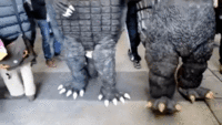 Gamera vs Godzilla