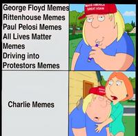 George Floyd Memes Rittenhouse Memes Paul Pelosi Memes All Lives Matter Memes Driving into Protestors Memes MAKE AMERICA GREAT AGAIN W Charlie Memes MAKE GREA