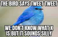 THE BIRD SAYS TWEET TWEET WE DON'T KNOW WHAT X IS BUT IT SOUNDS SILLY