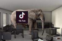 Tik Tok