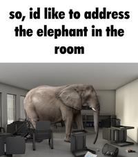 so, id like to address the elephant in the room